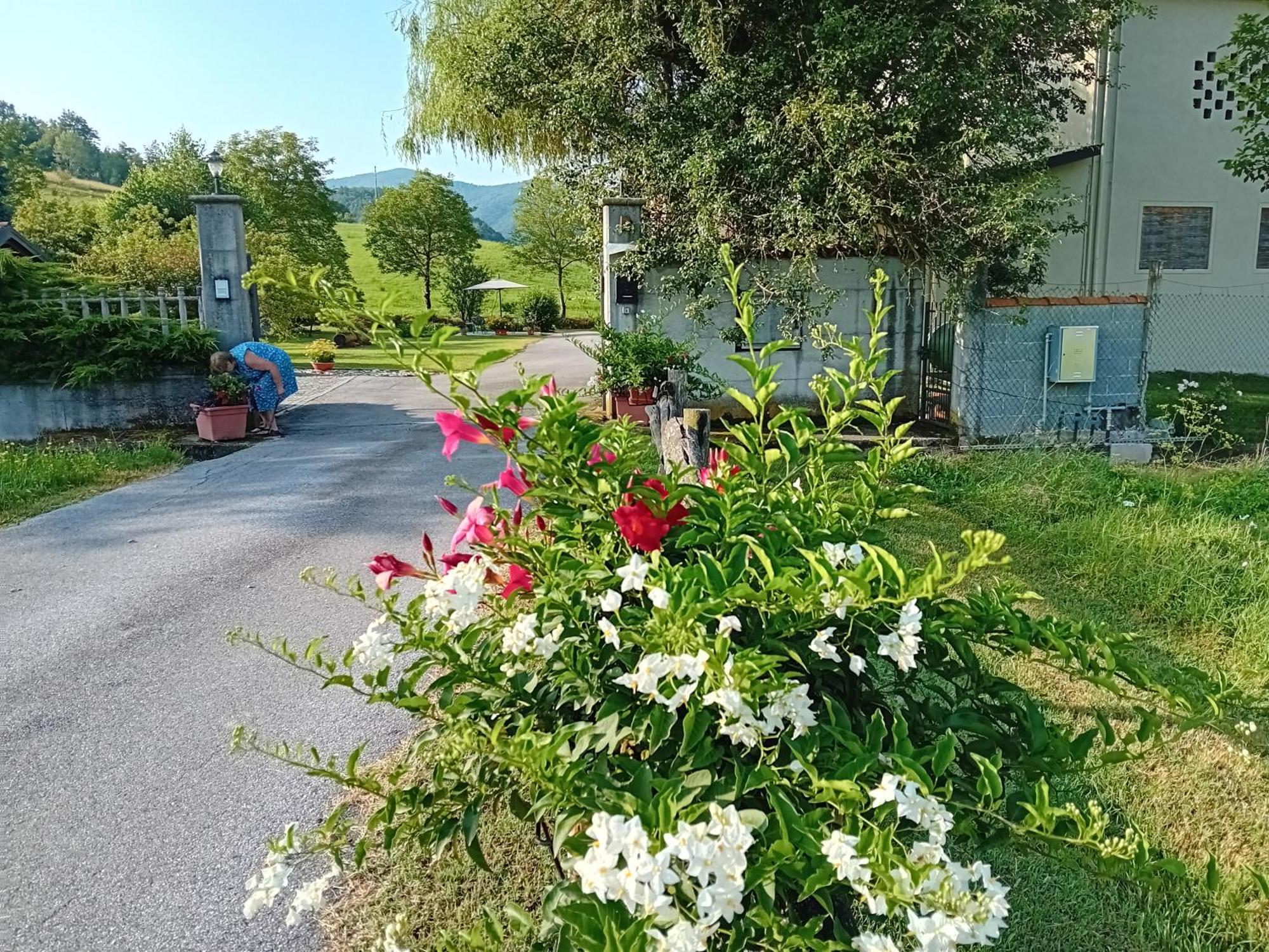 L'Isola Dla Cerrea Bed & Breakfast Mombasiglio Exterior photo